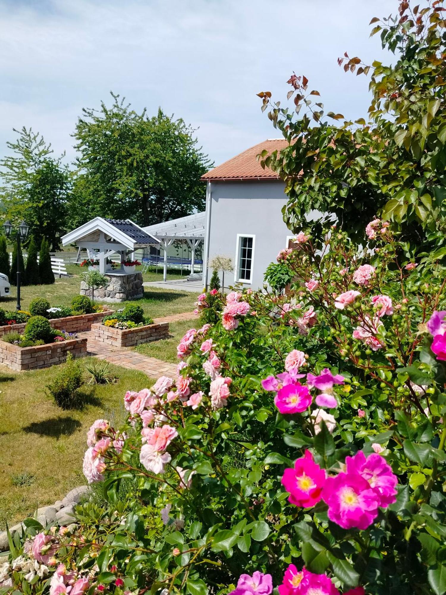 Agroturystyka Rybno Rybno  Exteriör bild